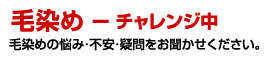 「毛染め」リサーチ実施中！