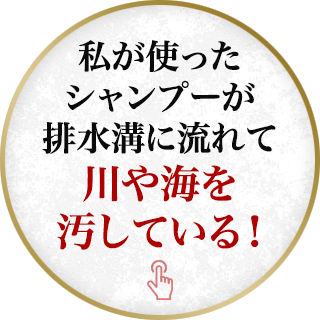 私が使ったシャンプーが排水溝に流れて川や海を汚している！