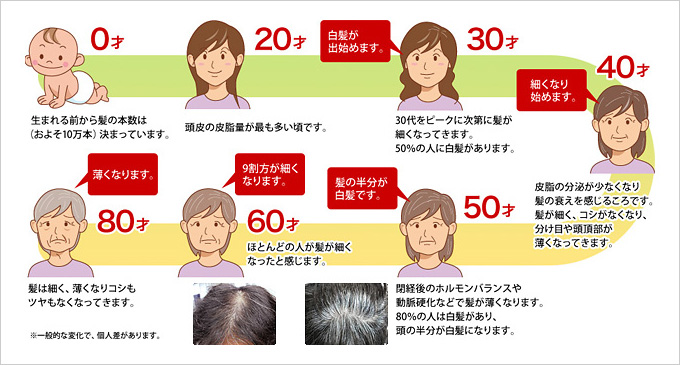 髪や頭皮の仕組み 髪の悩み ネイチャー生活倶楽部 ホームページ 公式